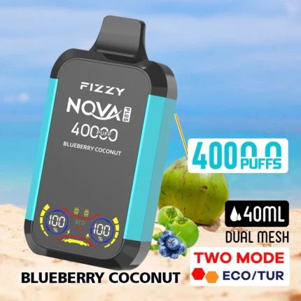 Blueberry Coconut 40000 puffs