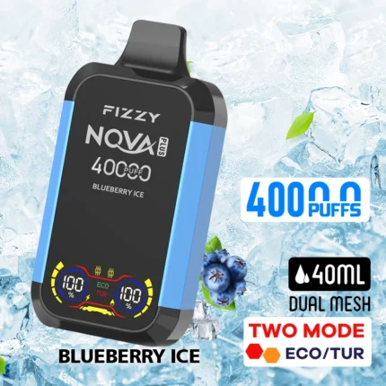 Blueberry Ice 40000 puffs