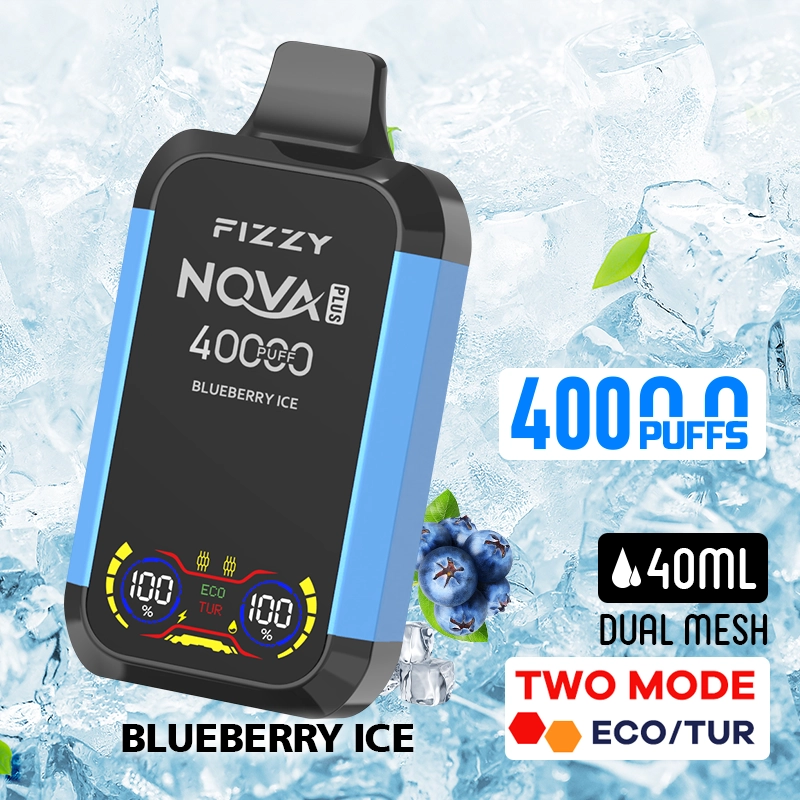 Blueberry Ice 40000 puffs