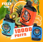 Fizzy Great 10000 puffs - 50pcs