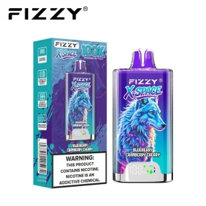 Fizzy X Space 100K 100000 Puffs Disposable Vape 02 Blueberry Cranberry Cherry
