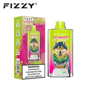 Fizzy X Space 100K 100000 Puffs Disposable Vape 04 Juicy Peach