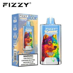 Fizzy X Space 100K 100000 Puffs Disposable Vape 09 Blueberry Coconut