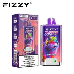 Fizzy X Space 100K 100000 Puffs Disposable Vape 13 Grape Burst