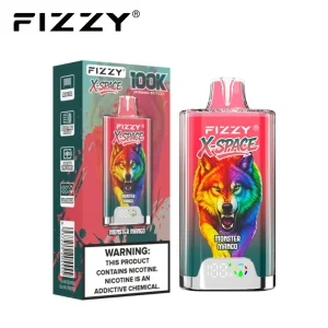Fizzy X Space 100K 100000 Puffs Disposable Vape 16 Monster Mango
