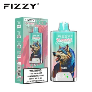 Fizzy X Space 100K 100000 Puffs Disposable Vape 18 Mojito